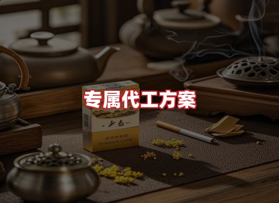 专业团队